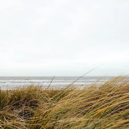 Villa Near Texel With Private Sauna *