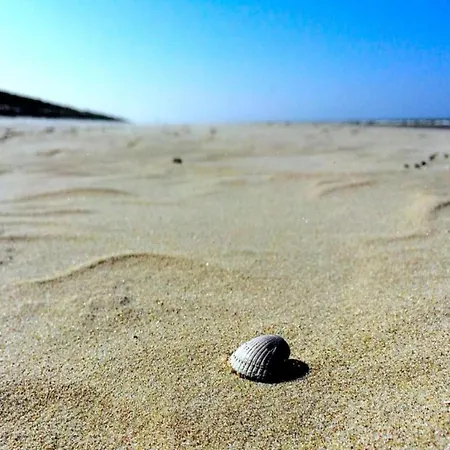 Near Texel With Private Sauna De Koog (Texel)