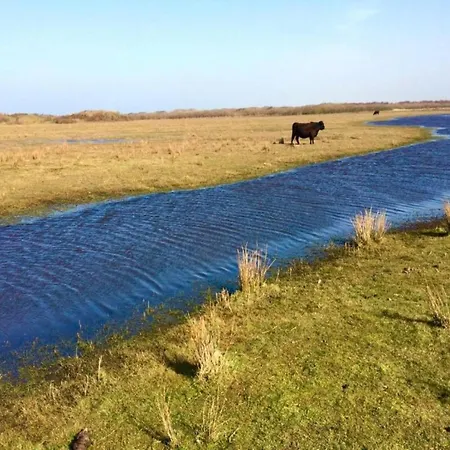 Near Texel With Private Sauna De Koog (Texel)