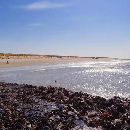 Near Texel With Private Sauna Villa